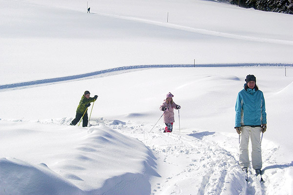 Holzhof Breitnau - Ferienwohnungen auf dem Bauernhof im Schwarzwald