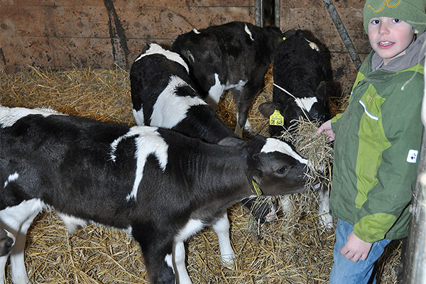 Holzhof Breitnau - Ferienwohnungen auf dem Bauernhof im Schwarzwald
