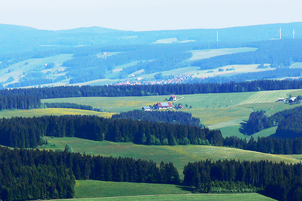 Holzhof Breitnau - Ferienwohnungen auf dem Bauernhof im Schwarzwald